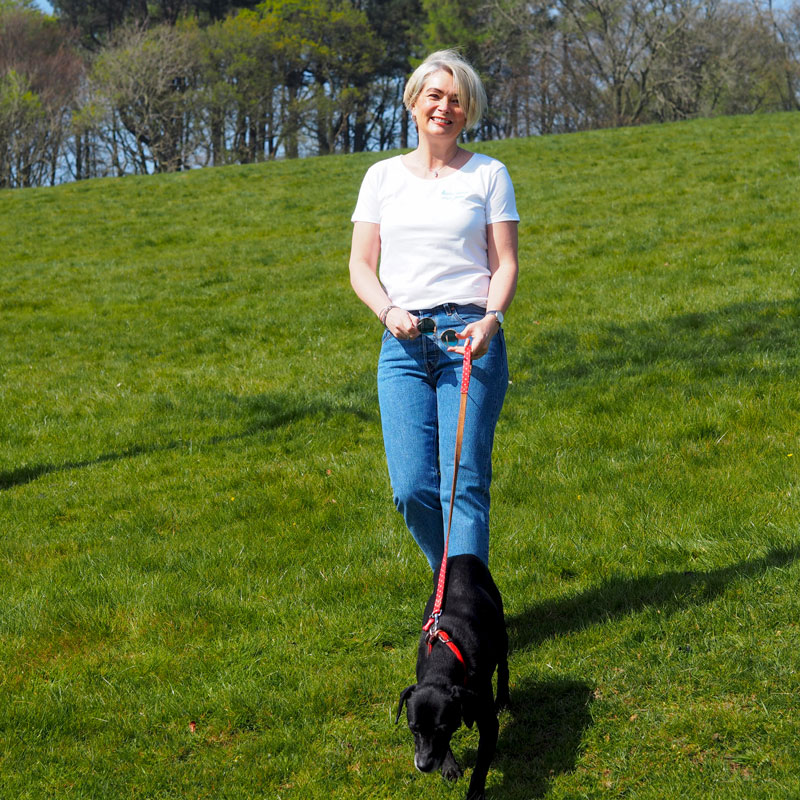 Midlife - making the middle years count