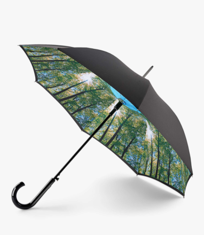 unusual umbrellas