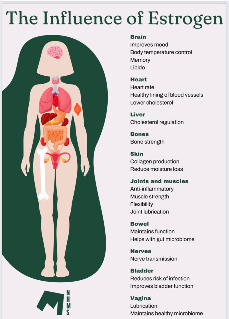 Oestrogen - what it does to your body