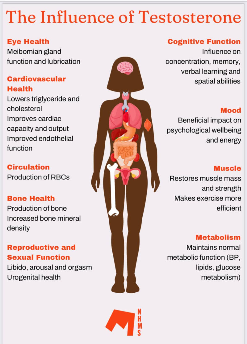 Testosterone for women - what it does