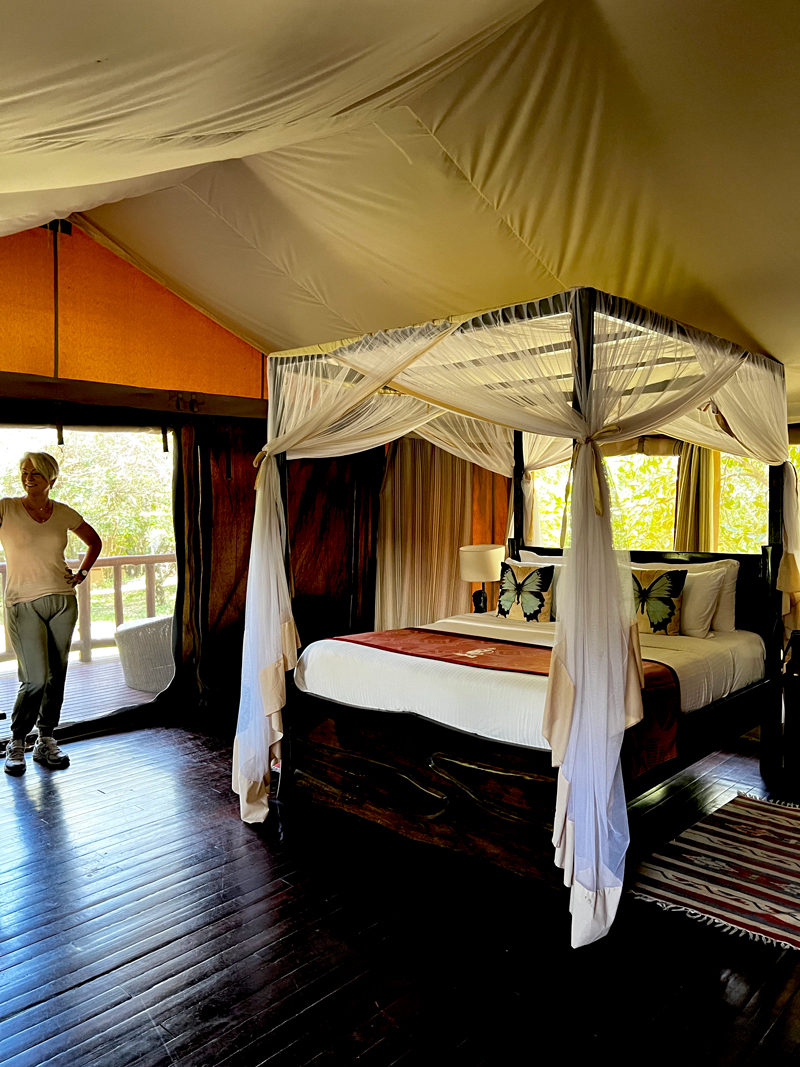 Masai Mara safari review