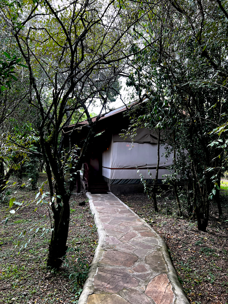 Masai Mara camp - the tents