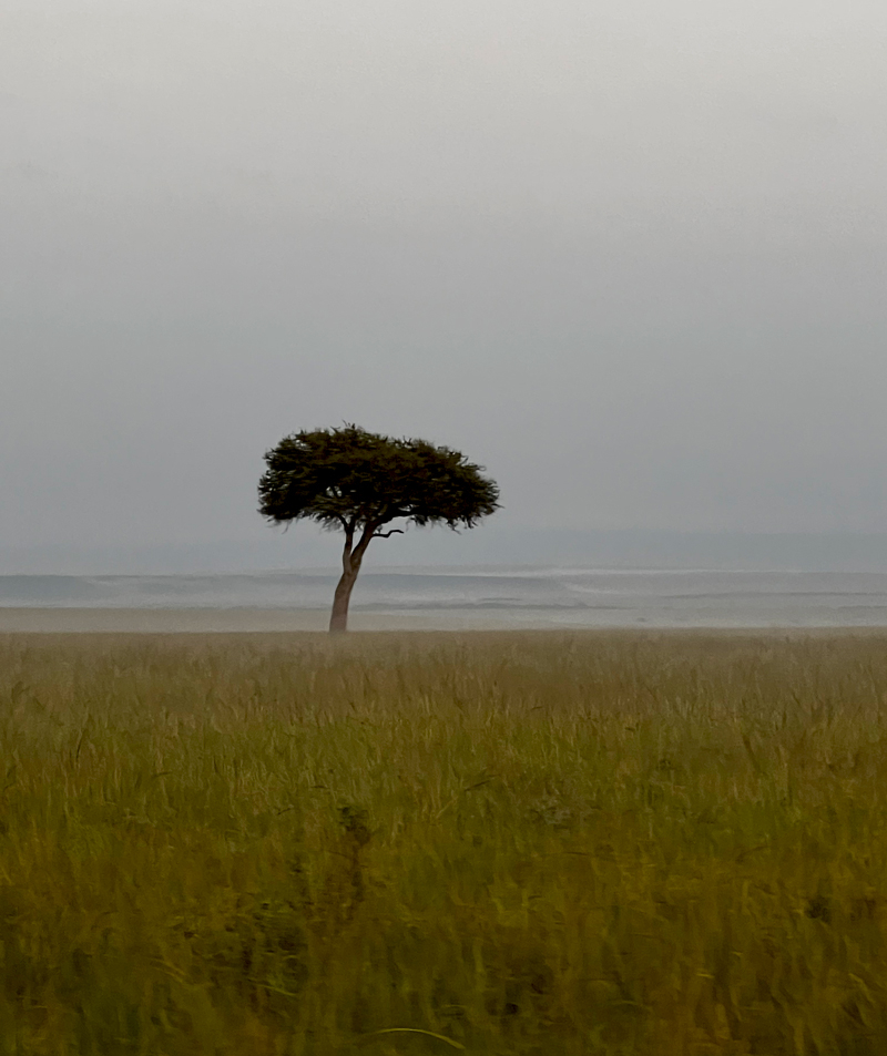 Masai Mara, midlife travel review