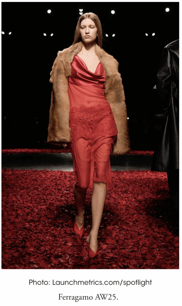 Autumn 25 trends