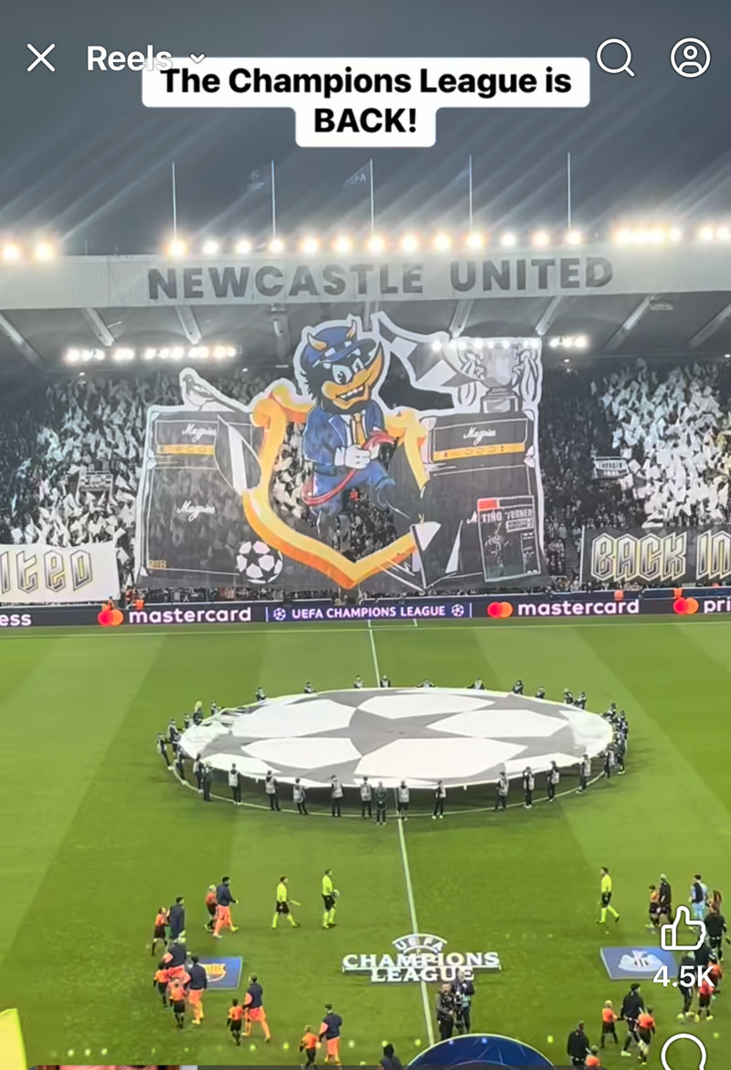 gentle midlife highs of 2025