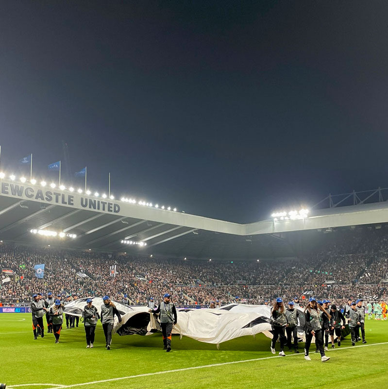 gentle midlife highs of 2025