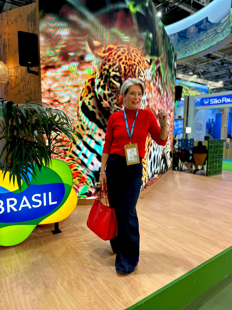 gentle midlife highs of 2025