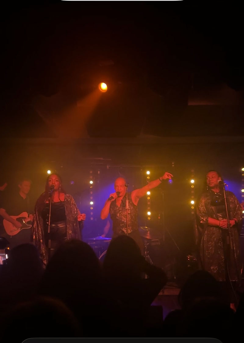 gentle midlife highs of 2025