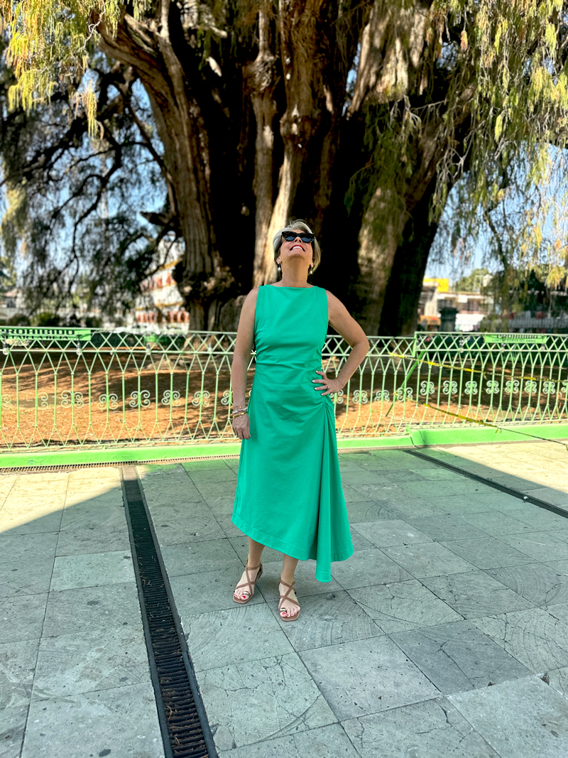 Midlifechic, Tule tree