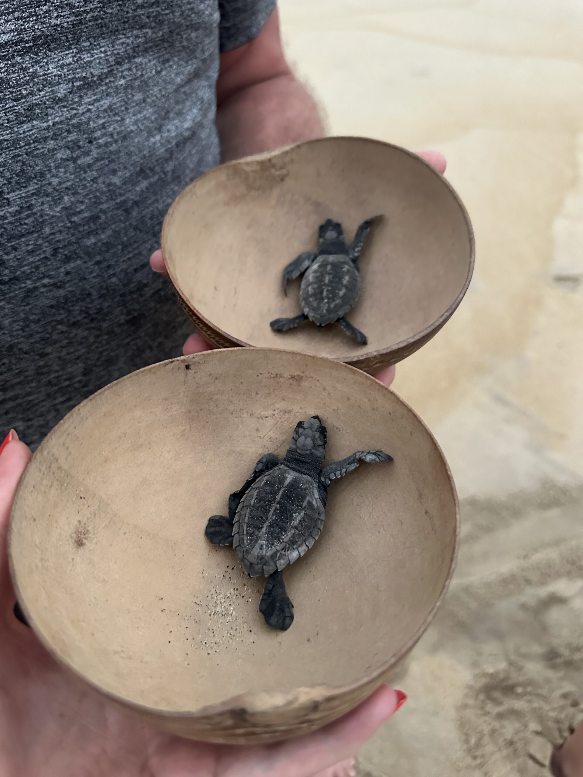 Mexico's Pacific Coast