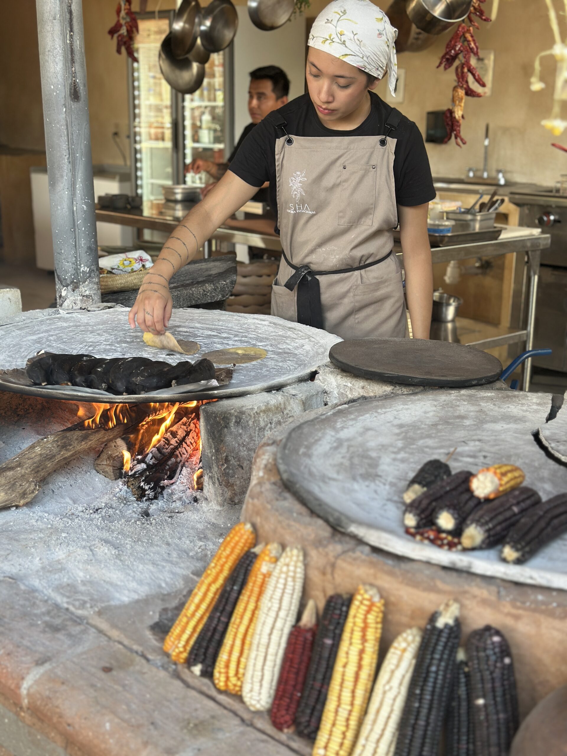 Mexico's Pacific Coast