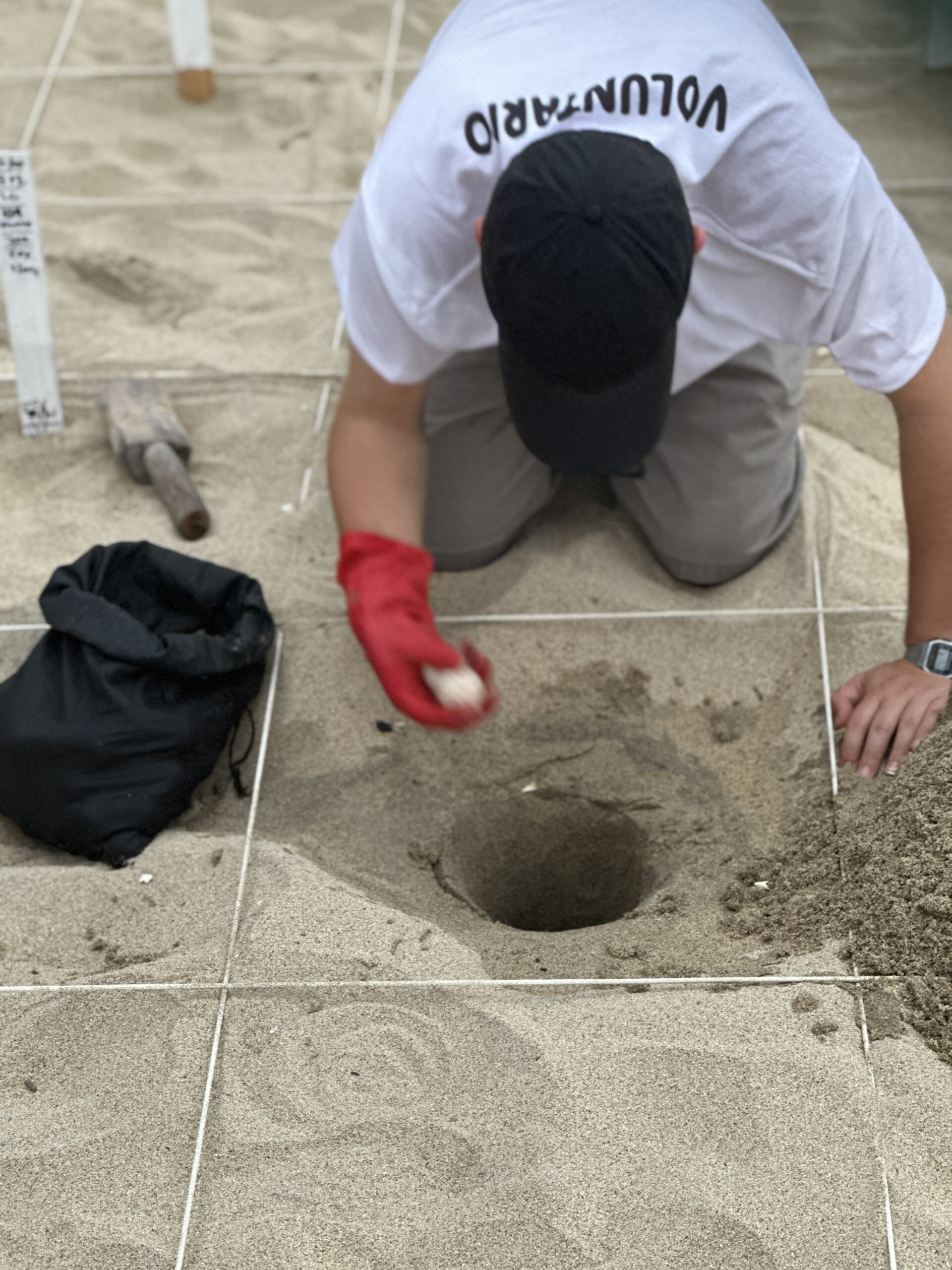 Mexico's Pacific Coast