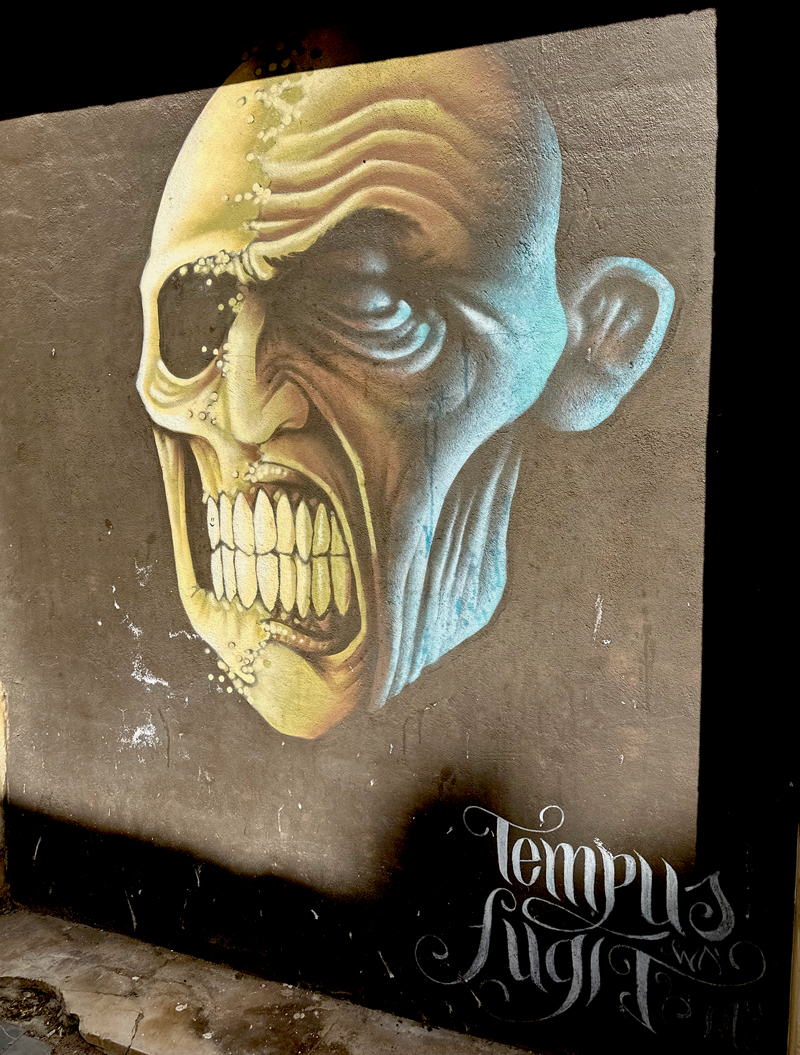 Logroño street art