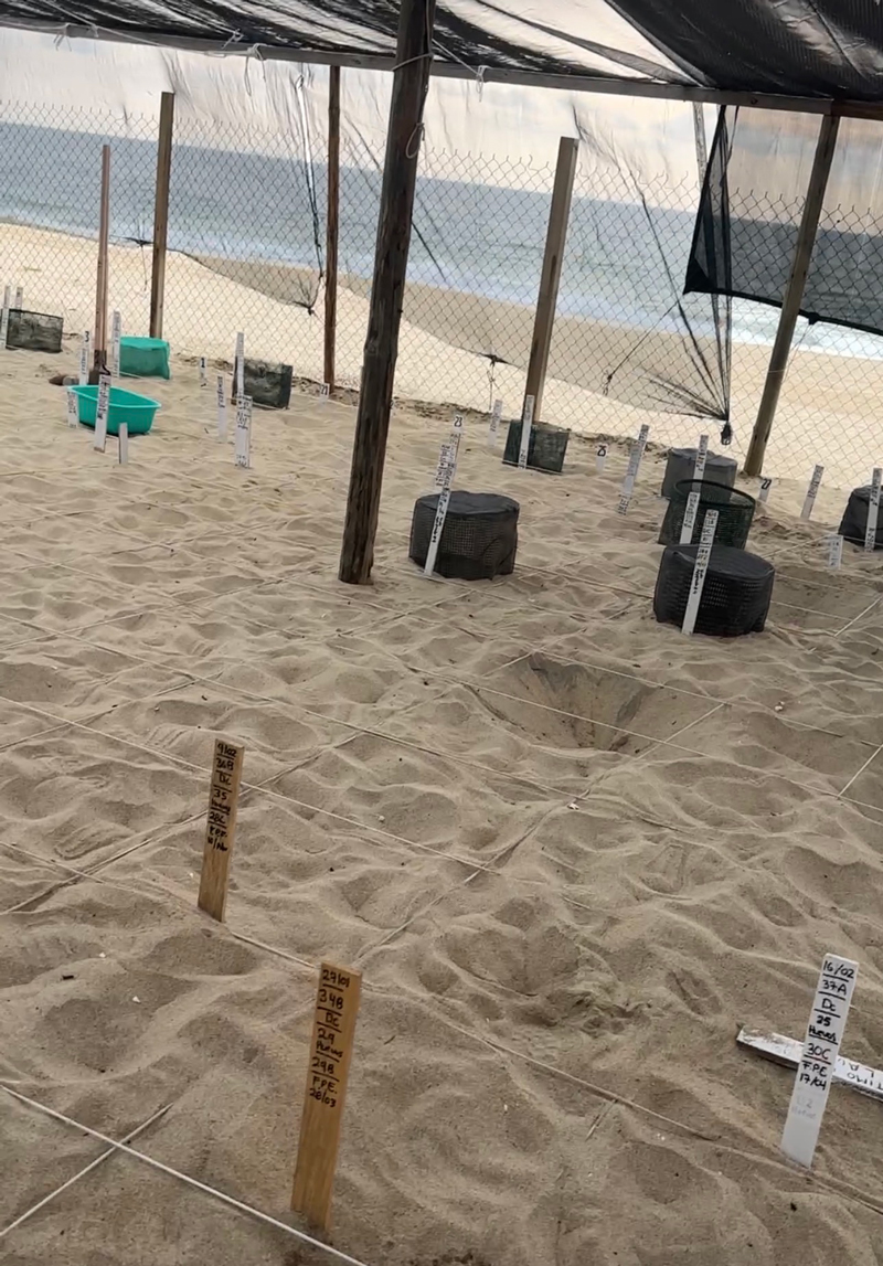 Mexico's Pacific Coast